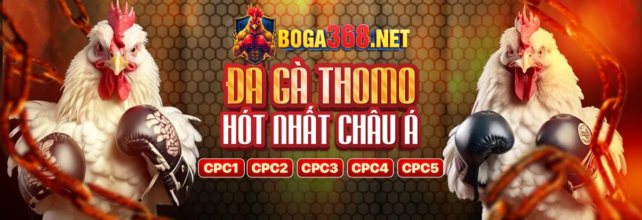 Ưu đãi chào mừng cho người chơi mới tại betvip hiện đang mở